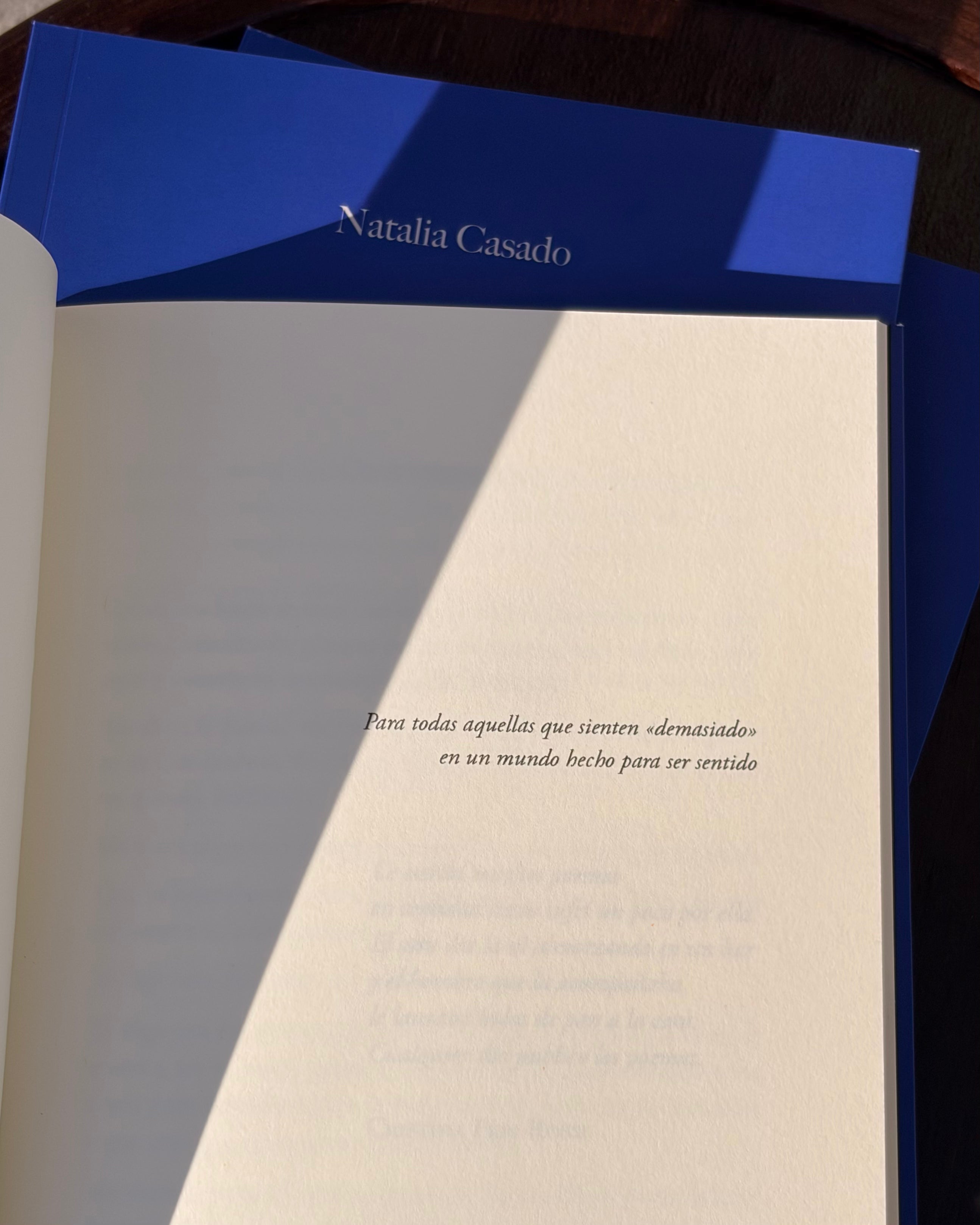 'No me veo', poemario